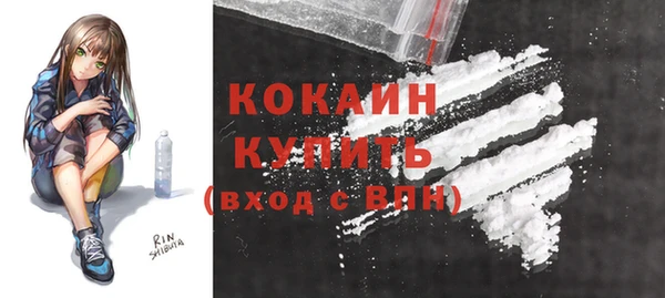 твердый Аркадак