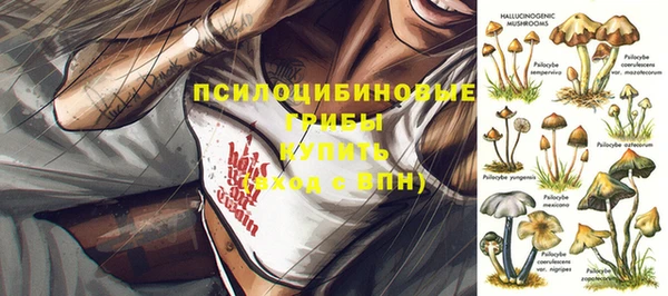 твердый Аркадак