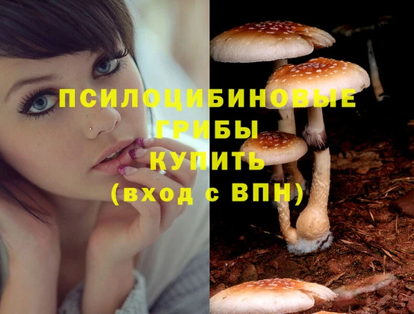 твердый Аркадак