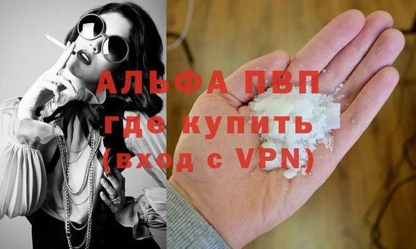 твердый Аркадак